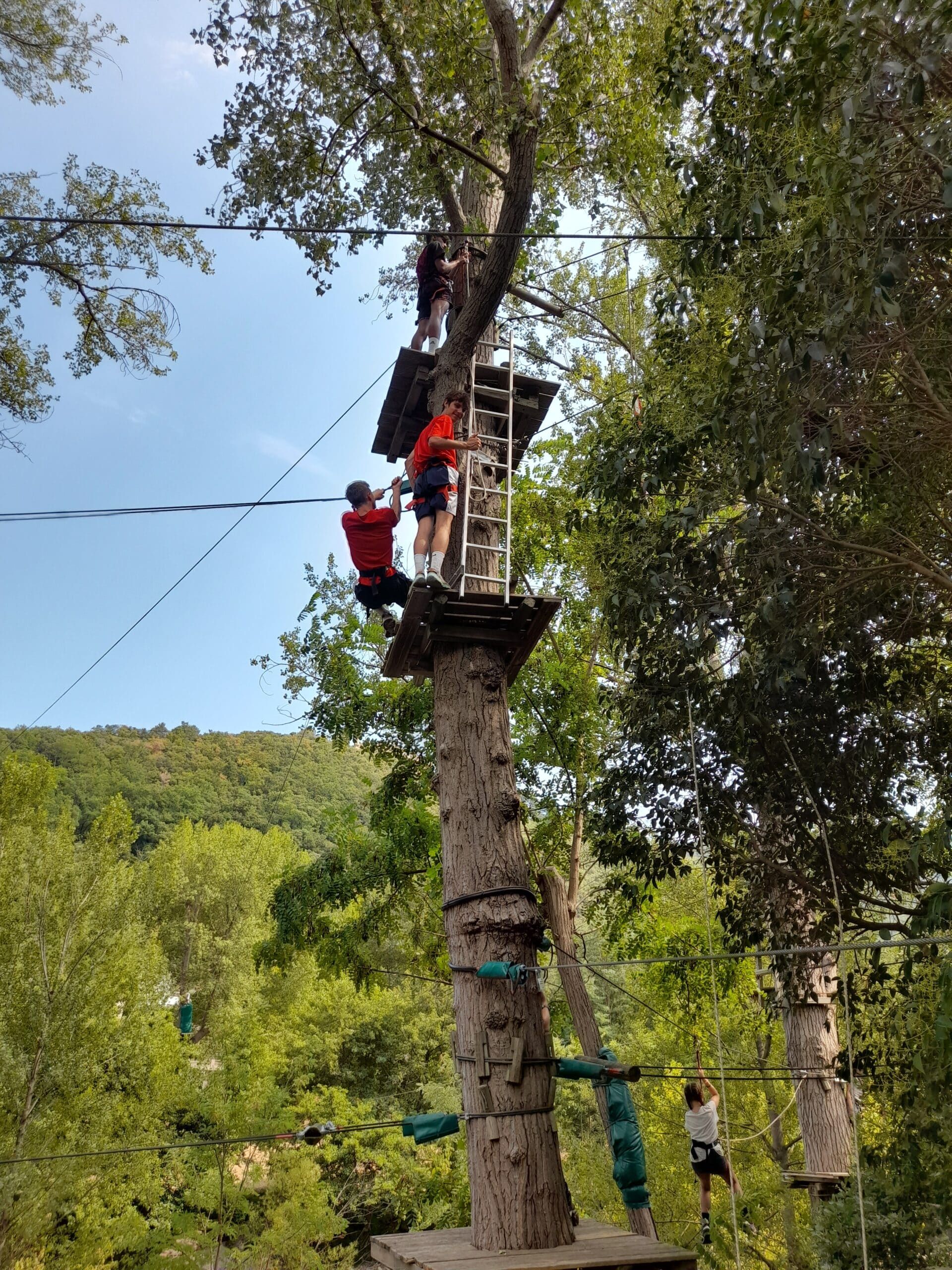 Parcours accrobranche Amélie les Bains