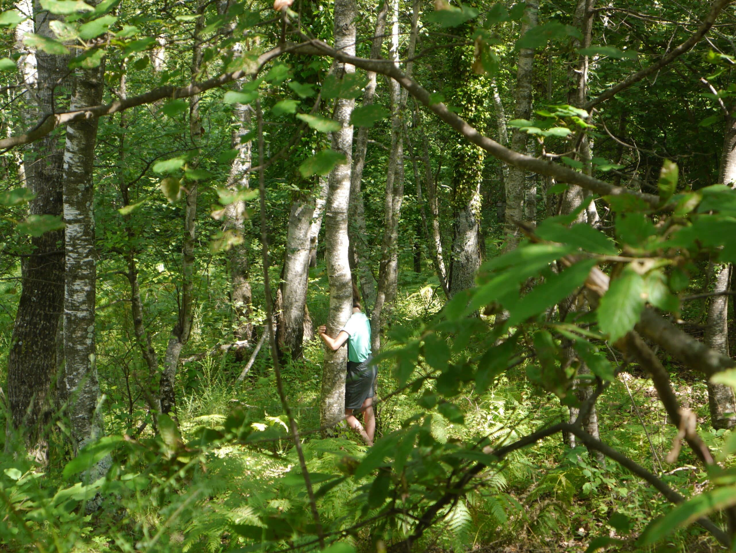 bain de forêt pyrénées