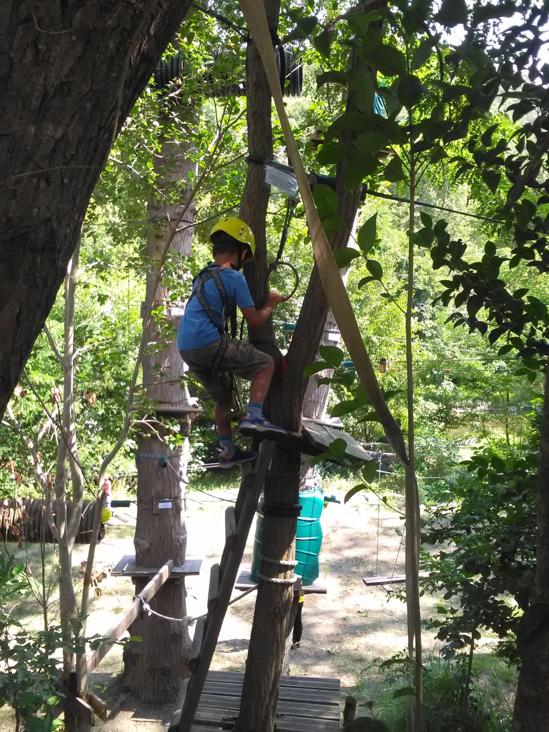 parc accrobranche forest aventure