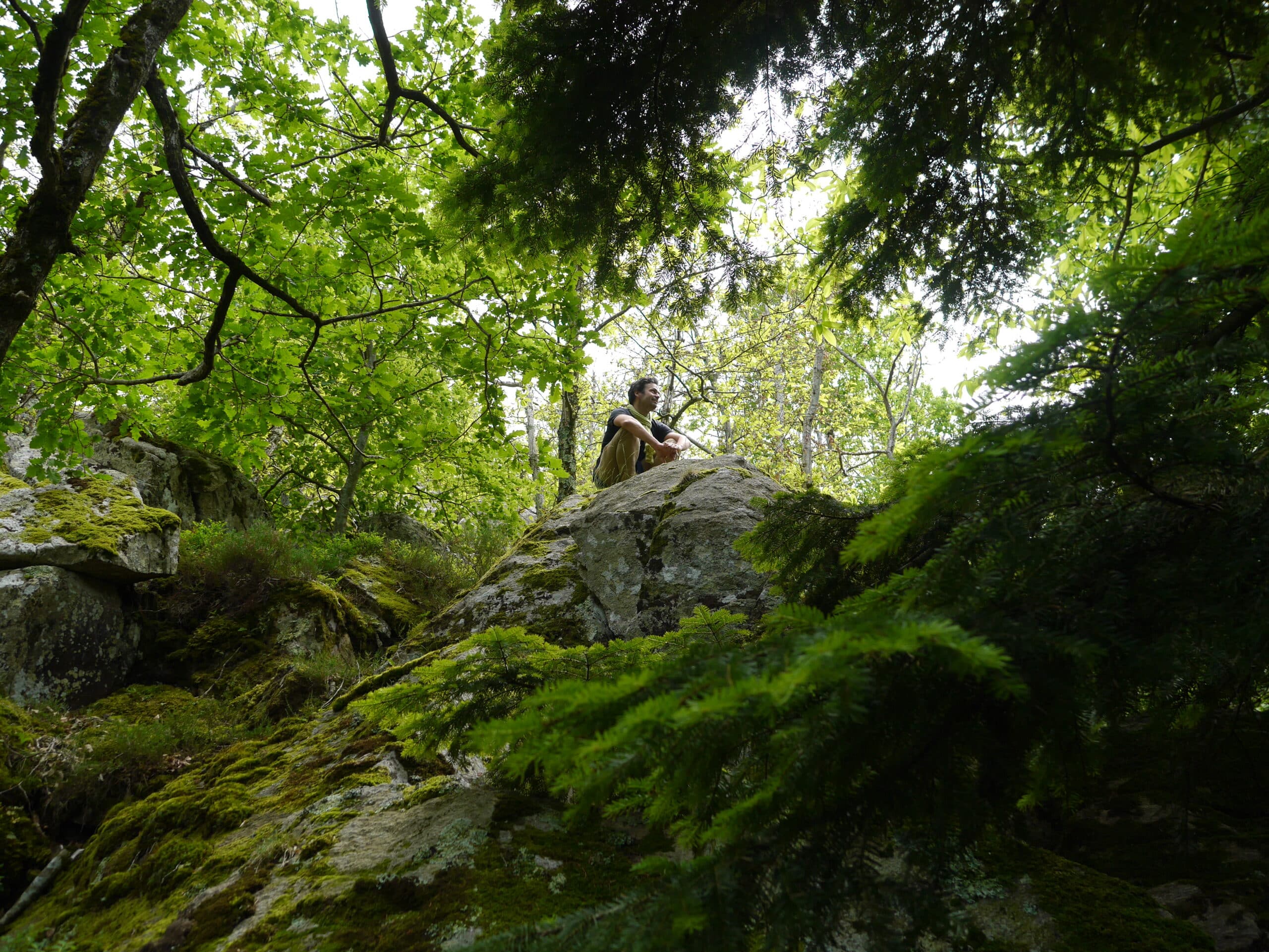 bain de forêt pyrénées