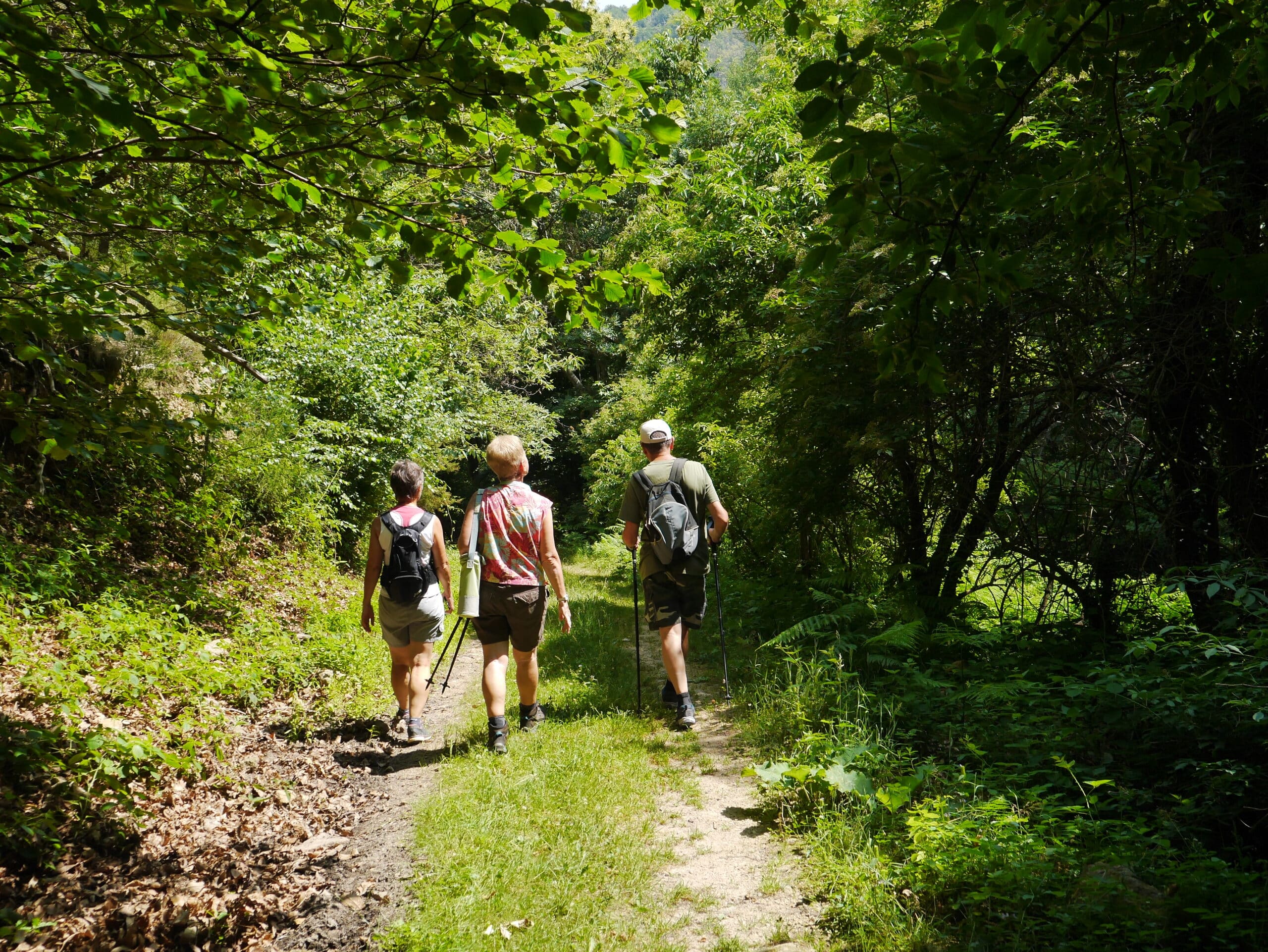 bain de forêt pyrénées