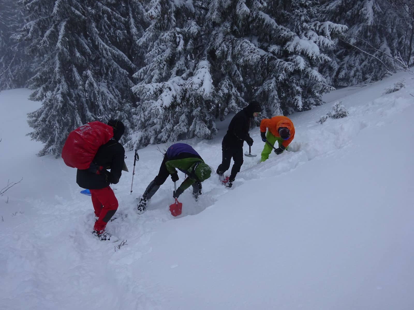 formation hiver accompagnateur en montagne